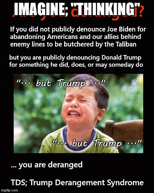 Are you deranged? | IMAGINE; "THINKING" | image tagged in trump,biden,tds | made w/ Imgflip meme maker