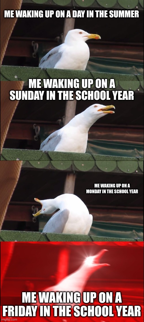 Inhaling Seagull Meme | ME WAKING UP ON A DAY IN THE SUMMER; ME WAKING UP ON A SUNDAY IN THE SCHOOL YEAR; ME WAKING UP ON A MONDAY IN THE SCHOOL YEAR; ME WAKING UP ON A FRIDAY IN THE SCHOOL YEAR | image tagged in memes,inhaling seagull | made w/ Imgflip meme maker