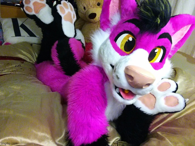 Another one! (Fursuiter: Kizz) | image tagged in fursuit,memes,furry,cute,femboy | made w/ Imgflip meme maker