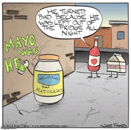 MAYO WAS HERE | image tagged in comics/cartoons,comics,comic,mayonnaise,mayo,fridge | made w/ Imgflip meme maker