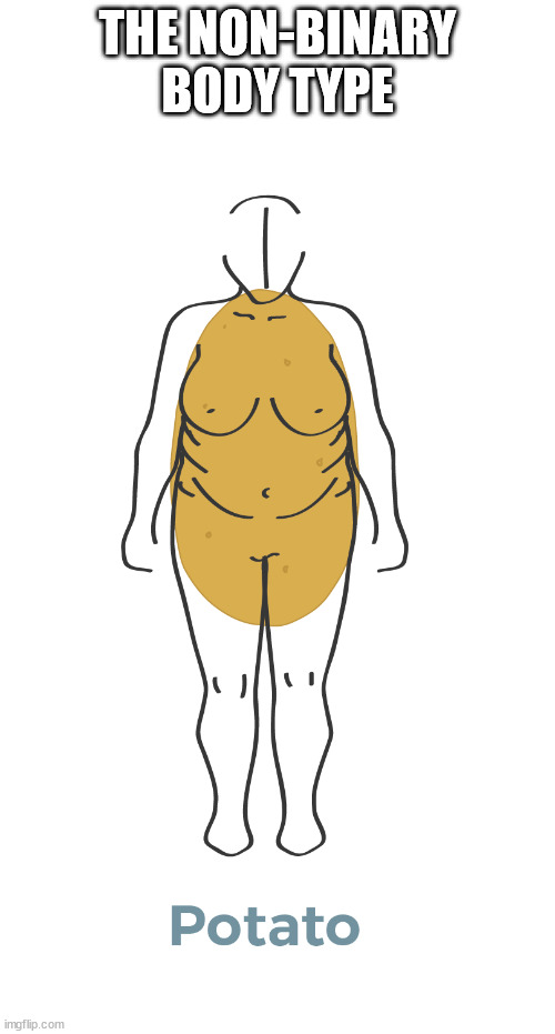 The Non-Binary Body Type | THE NON-BINARY
BODY TYPE | image tagged in potato shaped body | made w/ Imgflip meme maker