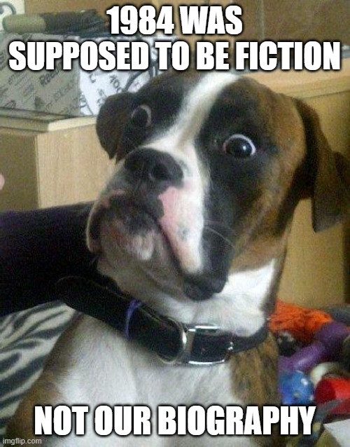 Surprised Dog | 1984 WAS SUPPOSED TO BE FICTION NOT OUR BIOGRAPHY | image tagged in surprised dog | made w/ Imgflip meme maker