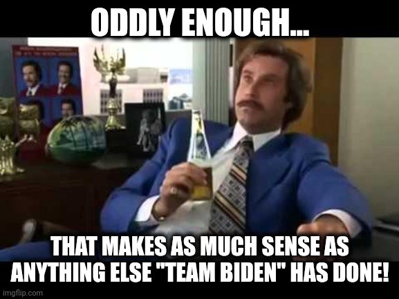 Well That Escalated Quickly Meme | ODDLY ENOUGH... THAT MAKES AS MUCH SENSE AS ANYTHING ELSE "TEAM BIDEN" HAS DONE! | image tagged in memes,well that escalated quickly | made w/ Imgflip meme maker