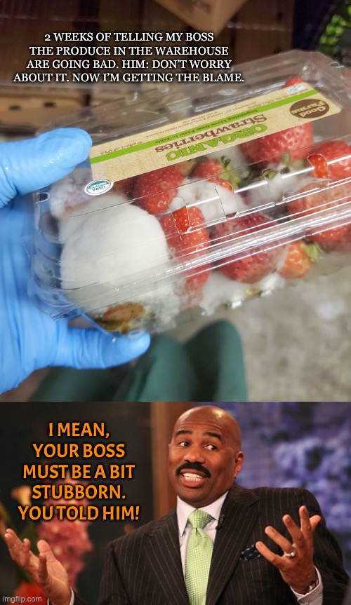 The fruits looks gross just a warning | 2 WEEKS OF TELLING MY BOSS THE PRODUCE IN THE WAREHOUSE ARE GOING BAD. HIM: DON’T WORRY ABOUT IT. NOW I’M GETTING THE BLAME. I MEAN, YOUR BOSS MUST BE A BIT STUBBORN. YOU TOLD HIM! | image tagged in funny,memes,bosses,mouldy food,stubborn | made w/ Imgflip meme maker