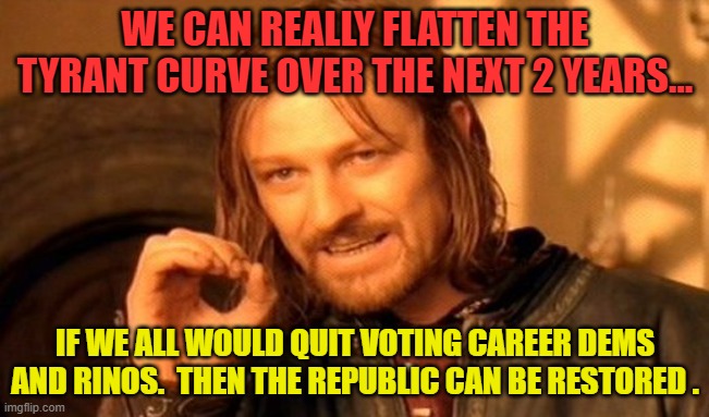 One Does Not Simply Meme | WE CAN REALLY FLATTEN THE TYRANT CURVE OVER THE NEXT 2 YEARS... IF WE ALL WOULD QUIT VOTING CAREER DEMS AND RINOS.  THEN THE REPUBLIC CAN BE RESTORED . | image tagged in memes,one does not simply | made w/ Imgflip meme maker