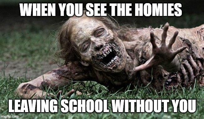 Walking Dead Zombie | WHEN YOU SEE THE HOMIES; LEAVING SCHOOL WITHOUT YOU | image tagged in walking dead zombie,school | made w/ Imgflip meme maker