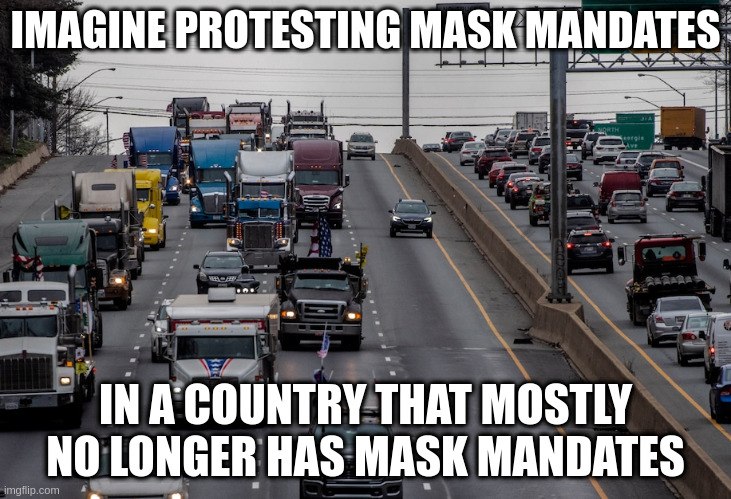 I held a protest and nobody cared :( | IMAGINE PROTESTING MASK MANDATES; IN A COUNTRY THAT MOSTLY NO LONGER HAS MASK MANDATES | image tagged in freedomconvoy,idiots | made w/ Imgflip meme maker