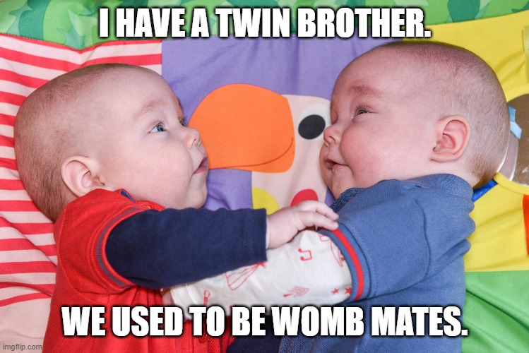 Daily Bad Dad Joke March 8 2022 |  I HAVE A TWIN BROTHER. WE USED TO BE WOMB MATES. | image tagged in twins | made w/ Imgflip meme maker