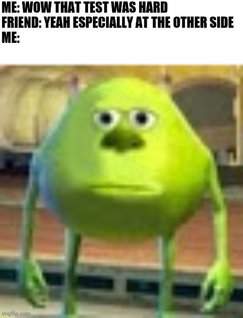 Sully Wazowski | ME: WOW THAT TEST WAS HARD 
FRIEND: YEAH ESPECIALLY AT THE OTHER SIDE
ME: | image tagged in sully wazowski,memes,funny,test,school | made w/ Imgflip meme maker