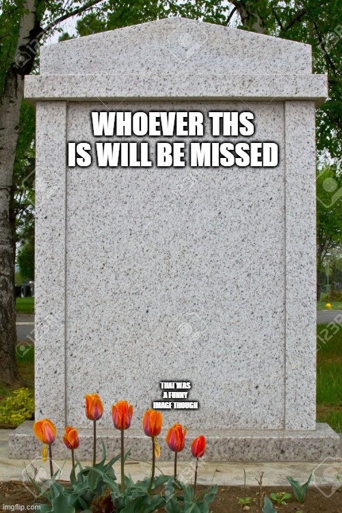 blank gravestone | WHOEVER THS IS WILL BE MISSED THAT WAS A FUNNY IMAGE THOUGH | image tagged in blank gravestone | made w/ Imgflip meme maker