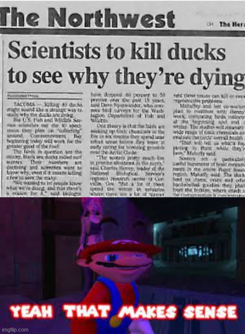 So uh, why are the ducks dying? | image tagged in yeah that makes sense | made w/ Imgflip meme maker