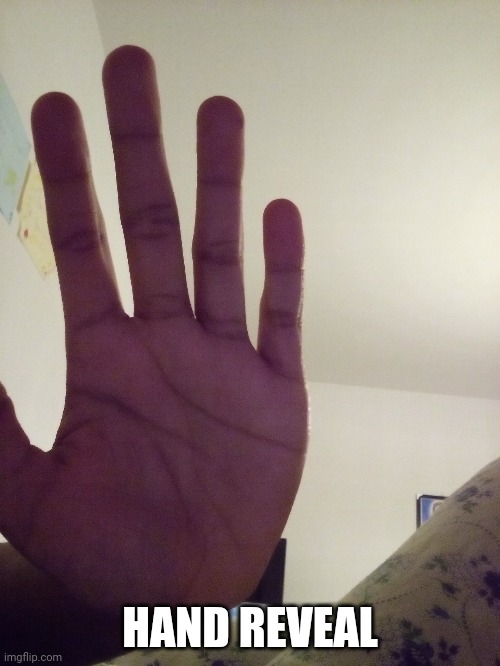 Mah sexy hand bitches | HAND REVEAL | image tagged in hand reveal,idfk | made w/ Imgflip meme maker