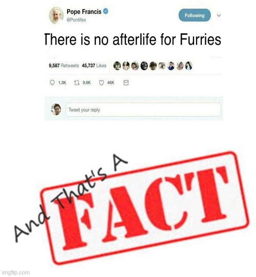 thats a fact | image tagged in and thats a fact,no furries,memes | made w/ Imgflip meme maker
