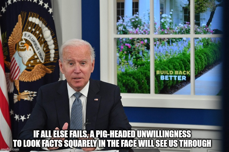 Joe Biden address | IF ALL ELSE FAILS, A PIG-HEADED UNWILLINGNESS TO LOOK FACTS SQUARELY IN THE FACE WILL SEE US THROUGH | image tagged in politics,joe biden,president,usa,funny memes,lol | made w/ Imgflip meme maker