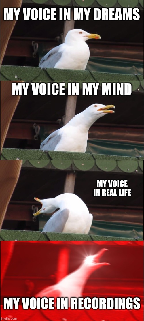 Inhaling Seagull | MY VOICE IN MY DREAMS; MY VOICE IN MY MIND; MY VOICE IN REAL LIFE; MY VOICE IN RECORDINGS | image tagged in memes,inhaling seagull | made w/ Imgflip meme maker
