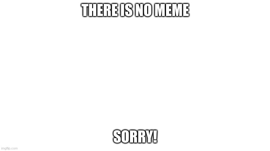There Is No Meme | THERE IS NO MEME; SORRY! | image tagged in memes,funny | made w/ Imgflip meme maker