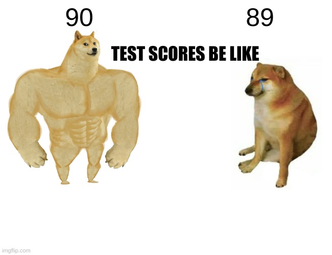 Buff Doge vs. Cheems | 90; 89; TEST SCORES BE LIKE | image tagged in memes,buff doge vs cheems | made w/ Imgflip meme maker