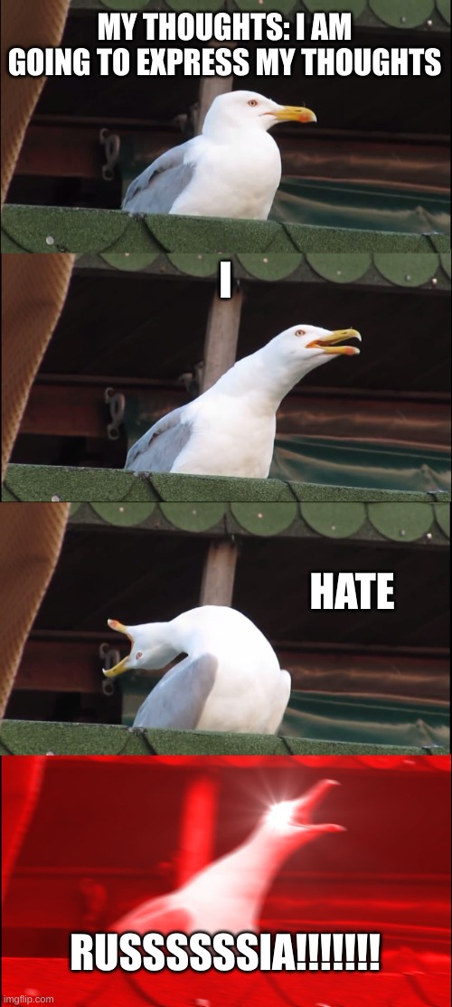 Inhaling Seagull | MY THOUGHTS: I AM GOING TO EXPRESS MY THOUGHTS; I; HATE; RUSSSSSSIA!!!!!!! | image tagged in memes,inhaling seagull | made w/ Imgflip meme maker