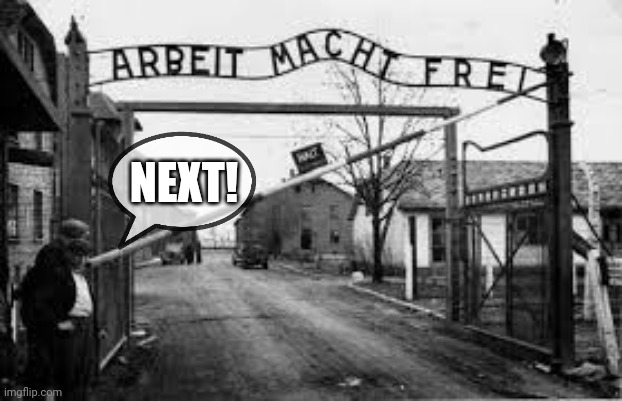 auschwitz | NEXT! | image tagged in auschwitz | made w/ Imgflip meme maker