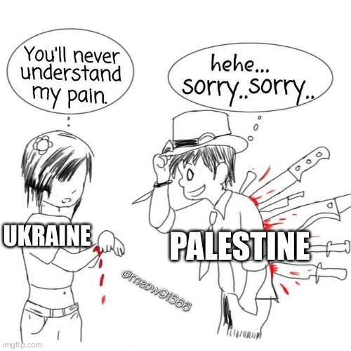 You'll never understand my pain | PALESTINE; UKRAINE | image tagged in you'll never understand my pain | made w/ Imgflip meme maker