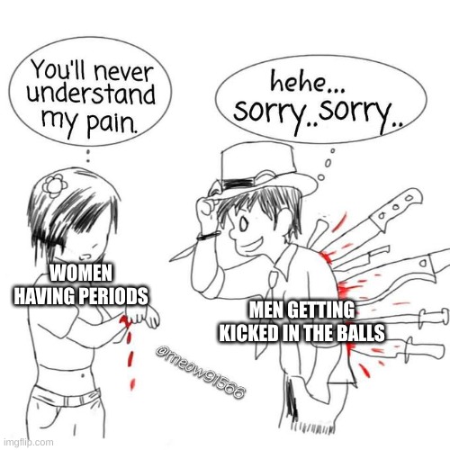 You'll never understand my pain | MEN GETTING KICKED IN THE BALLS; WOMEN HAVING PERIODS | image tagged in you'll never understand my pain | made w/ Imgflip meme maker