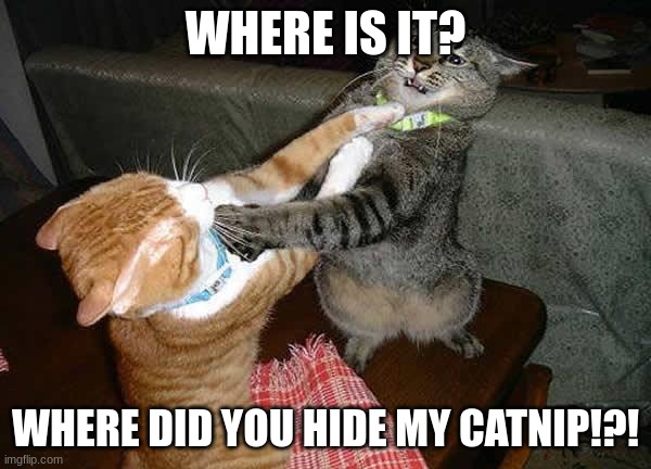 Two cats fighting for real | WHERE IS IT? WHERE DID YOU HIDE MY CATNIP!?! | image tagged in two cats fighting for real | made w/ Imgflip meme maker