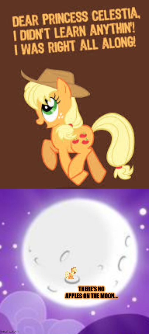 To the moon! | THERE'S NO APPLES ON THE MOON... | image tagged in princess celestia,applejack,i learned nothing,to the,moon | made w/ Imgflip meme maker