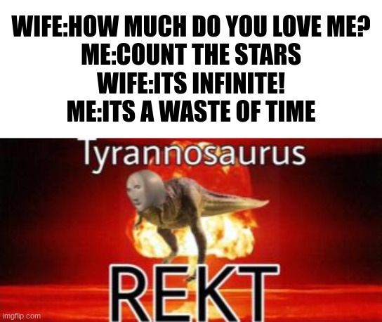 get roasted like grilled cheese sandwich | WIFE:HOW MUCH DO YOU LOVE ME?
ME:COUNT THE STARS
WIFE:ITS INFINITE!
ME:ITS A WASTE OF TIME | image tagged in tyrannosaurus rekt | made w/ Imgflip meme maker