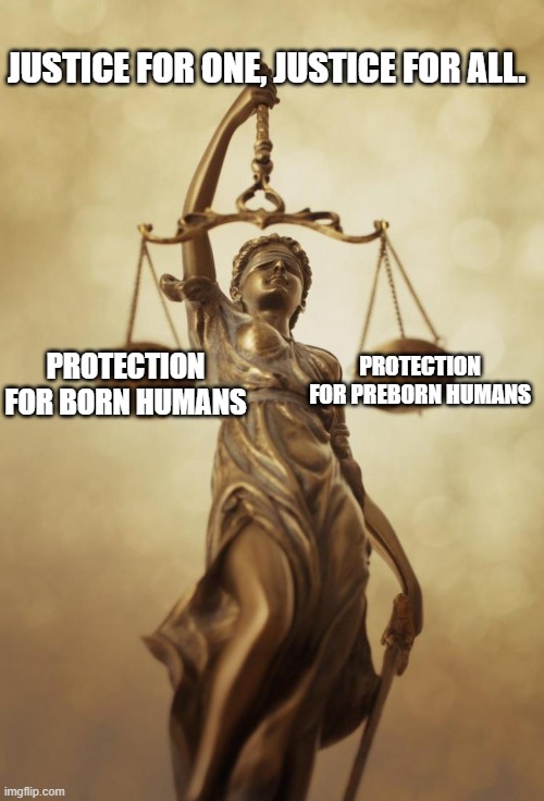 Equal Justice in the Womb. | JUSTICE FOR ONE, JUSTICE FOR ALL. PROTECTION FOR PREBORN HUMANS; PROTECTION FOR BORN HUMANS | image tagged in scales of justice,politics,abortion | made w/ Imgflip meme maker