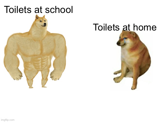 Buff Doge vs. Cheems | Toilets at school; Toilets at home | image tagged in memes,buff doge vs cheems | made w/ Imgflip meme maker