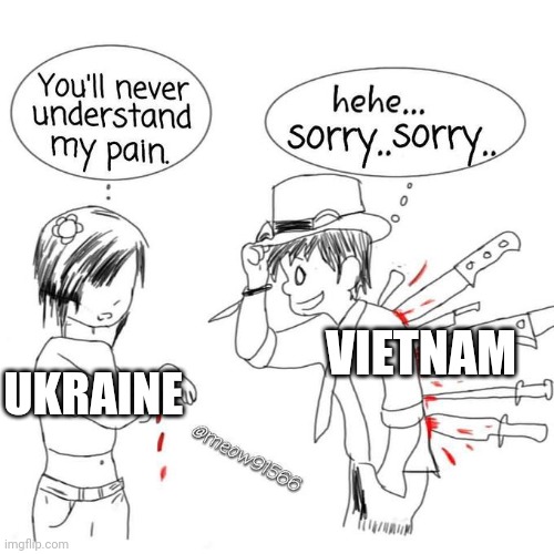 You'll never understand my pain | VIETNAM; UKRAINE | image tagged in you'll never understand my pain | made w/ Imgflip meme maker