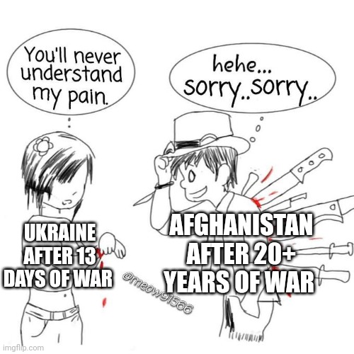 You'll never understand my pain | AFGHANISTAN AFTER 20+ YEARS OF WAR; UKRAINE AFTER 13 DAYS OF WAR | image tagged in you'll never understand my pain | made w/ Imgflip meme maker