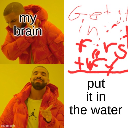 Drake Hotline Bling Meme | my brain put it in the water | image tagged in memes,drake hotline bling | made w/ Imgflip meme maker