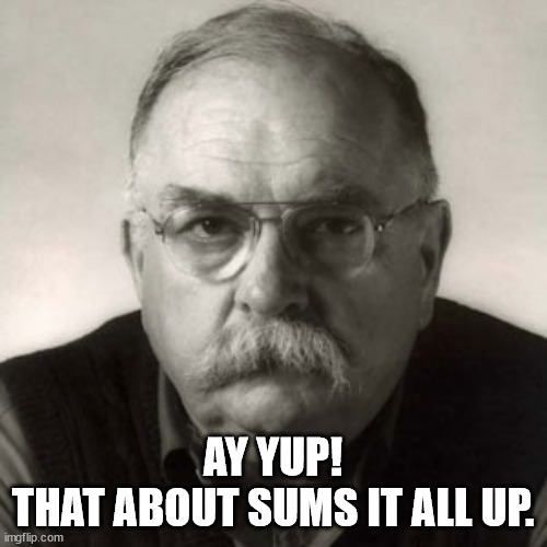 Wilford Brimley | AY YUP!
THAT ABOUT SUMS IT ALL UP. | image tagged in wilford brimley | made w/ Imgflip meme maker