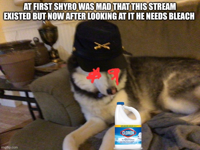 Union Husky | AT FIRST SHYRO WAS MAD THAT THIS STREAM EXISTED BUT NOW AFTER LOOKING AT IT HE NEEDS BLEACH | image tagged in union husky | made w/ Imgflip meme maker