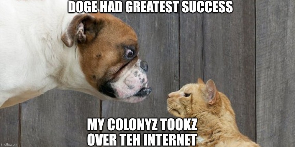 dog vs cat | DOGE HAD GREATEST SUCCESS; MY COLONYZ TOOKZ OVER TEH INTERNET | image tagged in dog vs cat,lolcat,doge | made w/ Imgflip meme maker