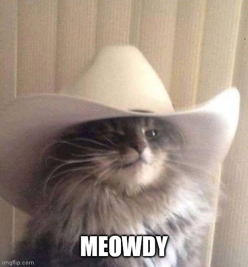 Meowdy! | MEOWDY | image tagged in meowdy | made w/ Imgflip meme maker