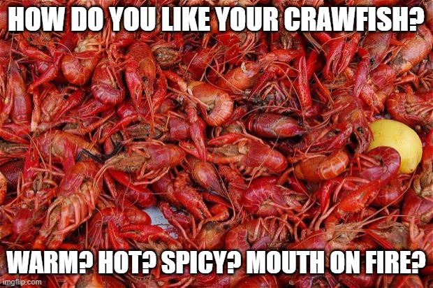 How do you like your crawfish | HOW DO YOU LIKE YOUR CRAWFISH? WARM? HOT? SPICY? MOUTH ON FIRE? | image tagged in crawfish | made w/ Imgflip meme maker