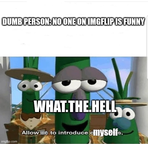 i am funny right? | DUMB PERSON: NO ONE ON IMGFLIP IS FUNNY; WHAT.THE.HELL; me; myself | image tagged in allow us to introduce ourselves | made w/ Imgflip meme maker