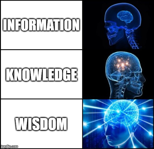 The Internet Gives You Information. It's Up To You To Build That Into Your Own Knowledge And Wisdom. | INFORMATION; KNOWLEDGE; WISDOM | image tagged in galaxy brain 3 panels fixed,information,knowledge,wisdom,galaxy brain 3 brains,learning | made w/ Imgflip meme maker