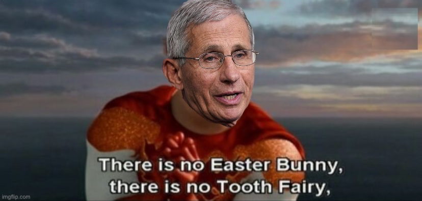 Dr. Fauci there is no Easter bunny Blank Meme Template