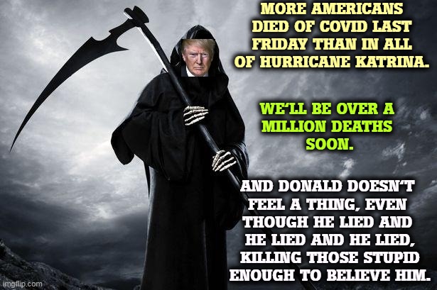 Donald Trump, the Angel of COVID Death | MORE AMERICANS DIED OF COVID LAST FRIDAY THAN IN ALL OF HURRICANE KATRINA. AND DONALD DOESN'T 

FEEL A THING, EVEN 
THOUGH HE LIED AND 
HE LIED AND HE LIED, KILLING THOSE STUPID ENOUGH TO BELIEVE HIM. WE'LL BE OVER A 
MILLION DEATHS 
SOON. | image tagged in donald trump the angel of covid death,trump,liar,maga,died,million | made w/ Imgflip meme maker
