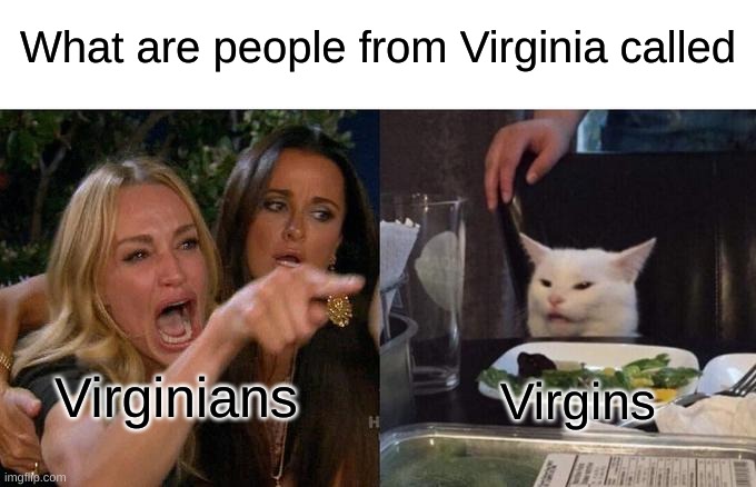 Yes | What are people from Virginia called; Virginians; Virgins | image tagged in memes,woman yelling at cat | made w/ Imgflip meme maker