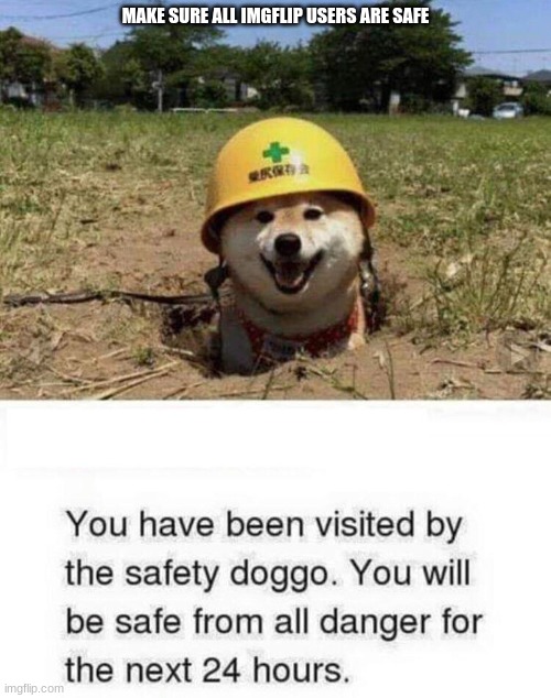 stay safe with safty doggo | MAKE SURE ALL IMGFLIP USERS ARE SAFE | image tagged in cute puppies,funny,safety,doggo | made w/ Imgflip meme maker