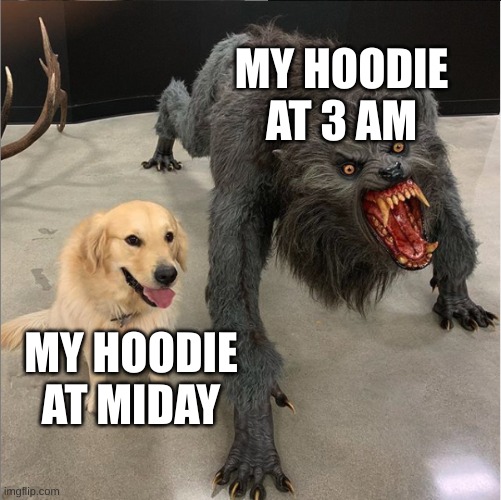 dog vs werewolf | MY HOODIE AT 3 AM; MY HOODIE AT MIDDAY | image tagged in dog vs werewolf | made w/ Imgflip meme maker