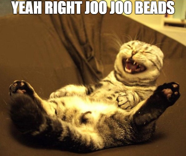 yeah right | YEAH RIGHT JOO JOO BEADS | image tagged in laughing cat | made w/ Imgflip meme maker