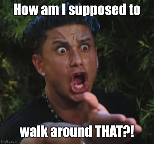 DJ Pauly D Meme | How am I supposed to walk around THAT?! | image tagged in memes,dj pauly d | made w/ Imgflip meme maker