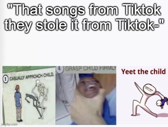 Casually Approach Child, Grasp Child Firmly, Yeet the Child | "That songs from Tiktok they stole it from Tiktok-" | image tagged in casually approach child grasp child firmly yeet the child,tiktok sucks,yeet the child | made w/ Imgflip meme maker