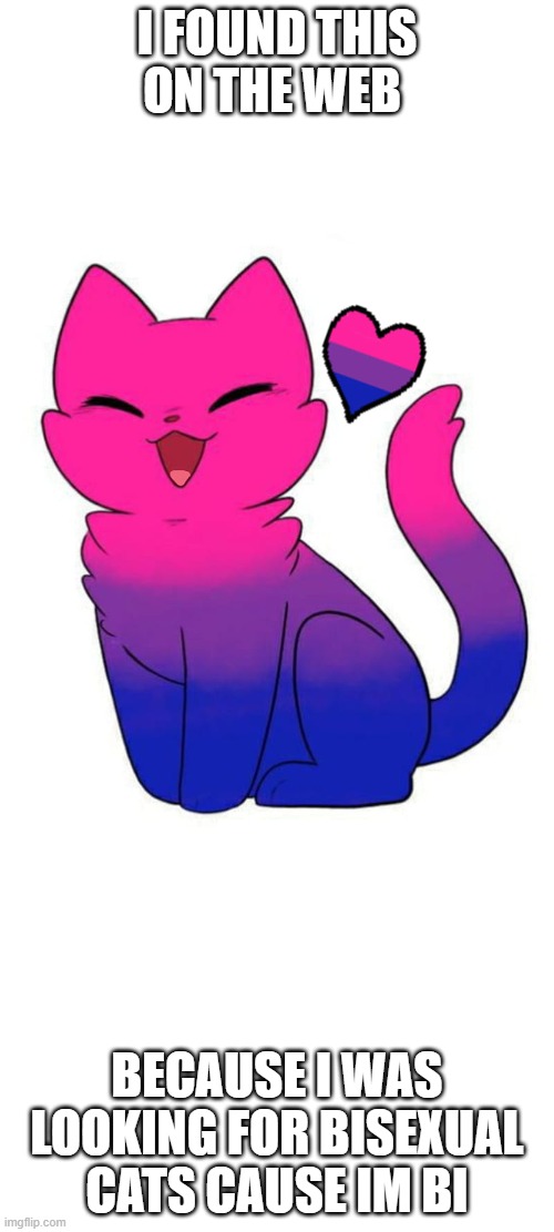 LOOK AT IT!!! | I FOUND THIS ON THE WEB; BECAUSE I WAS LOOKING FOR BISEXUAL CATS CAUSE IM BI | image tagged in bisexual,cat | made w/ Imgflip meme maker