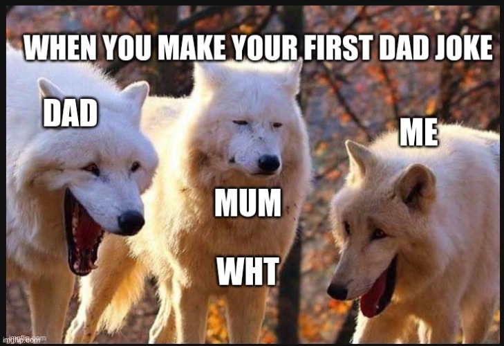 dad jokes as a kid | image tagged in funny meme | made w/ Imgflip meme maker